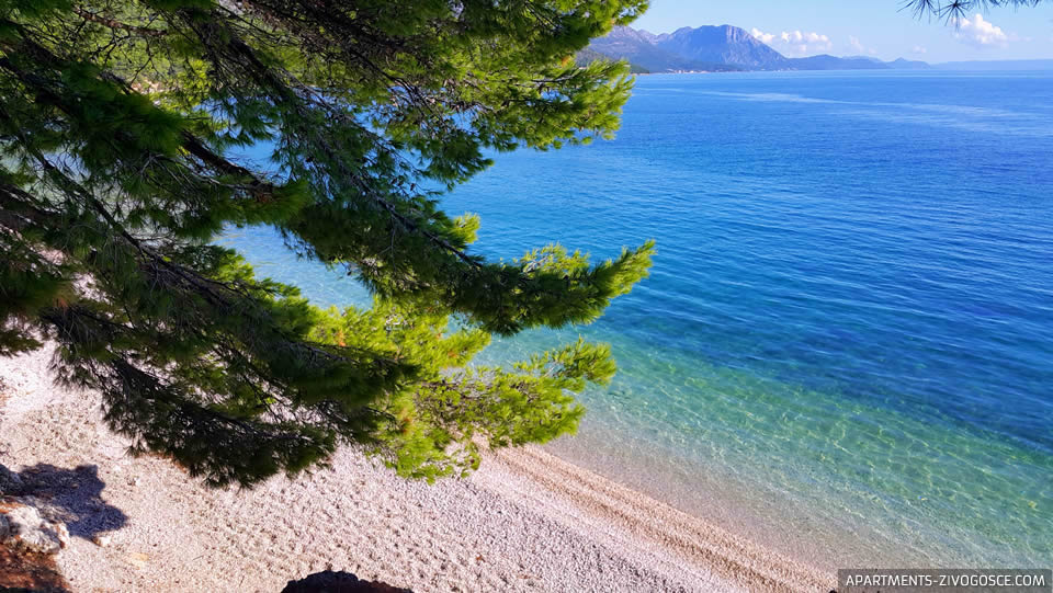 Živogošće Blato Makarska plaža Dole